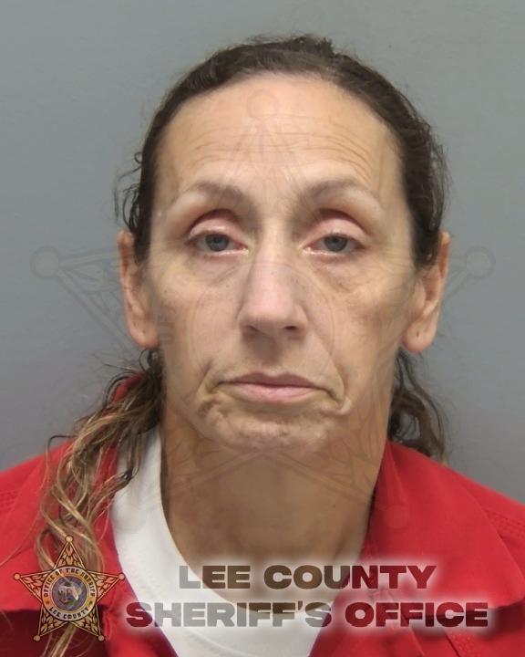 Booking photo of Audra Palumbo