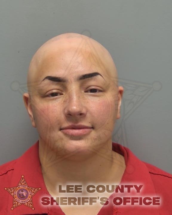 Booking photo of Yonice Machado