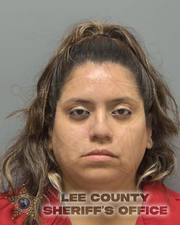 Booking photo of Natalie Vilca