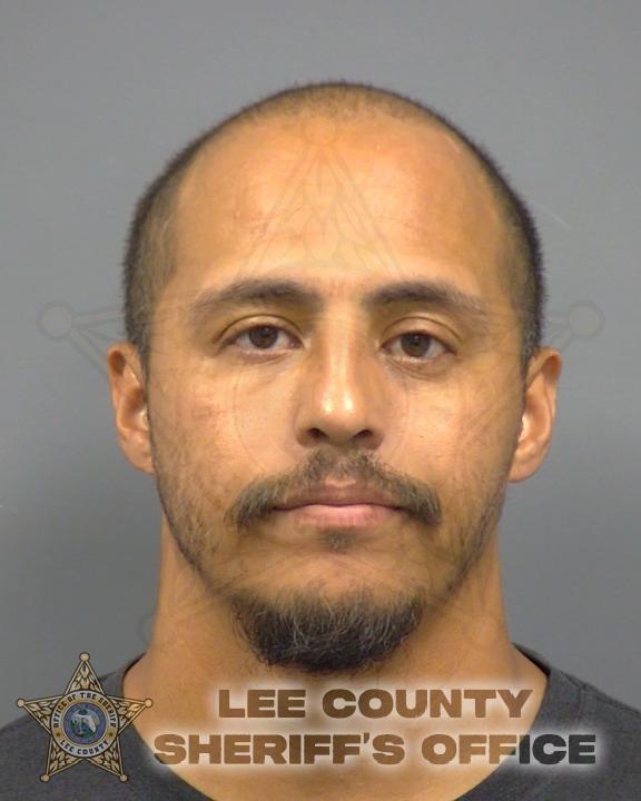 Booking photo of David Llenza