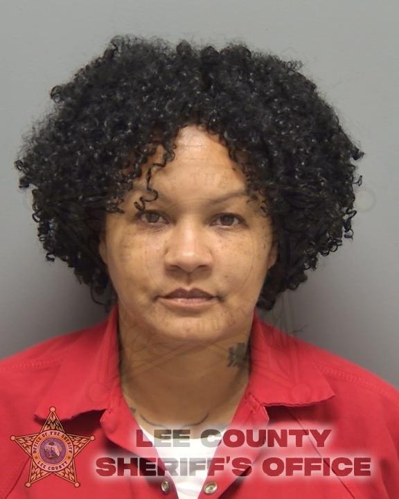 Booking photo of Erica Ayala