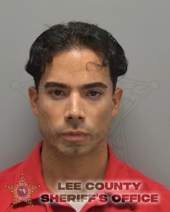 Dalvin Pons Fonseca booking photo
