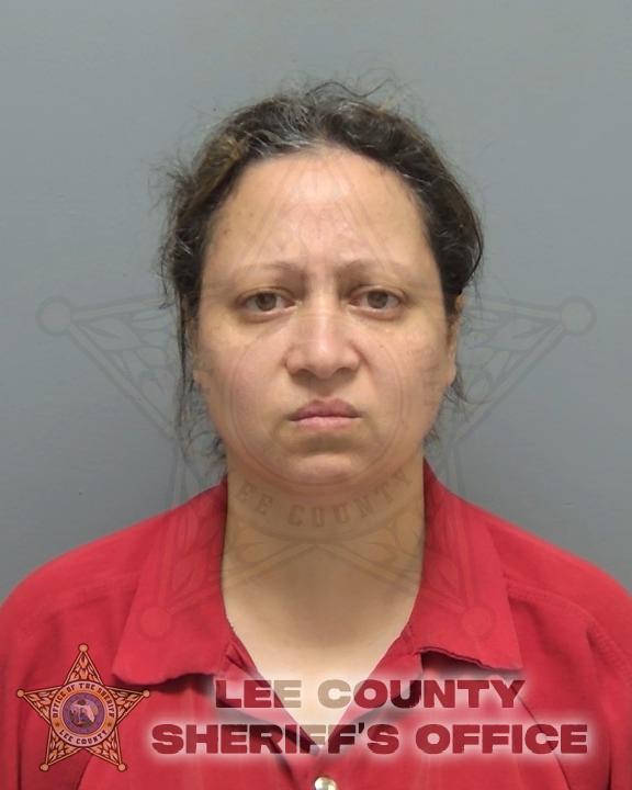 Marim Ibrahim booking photo