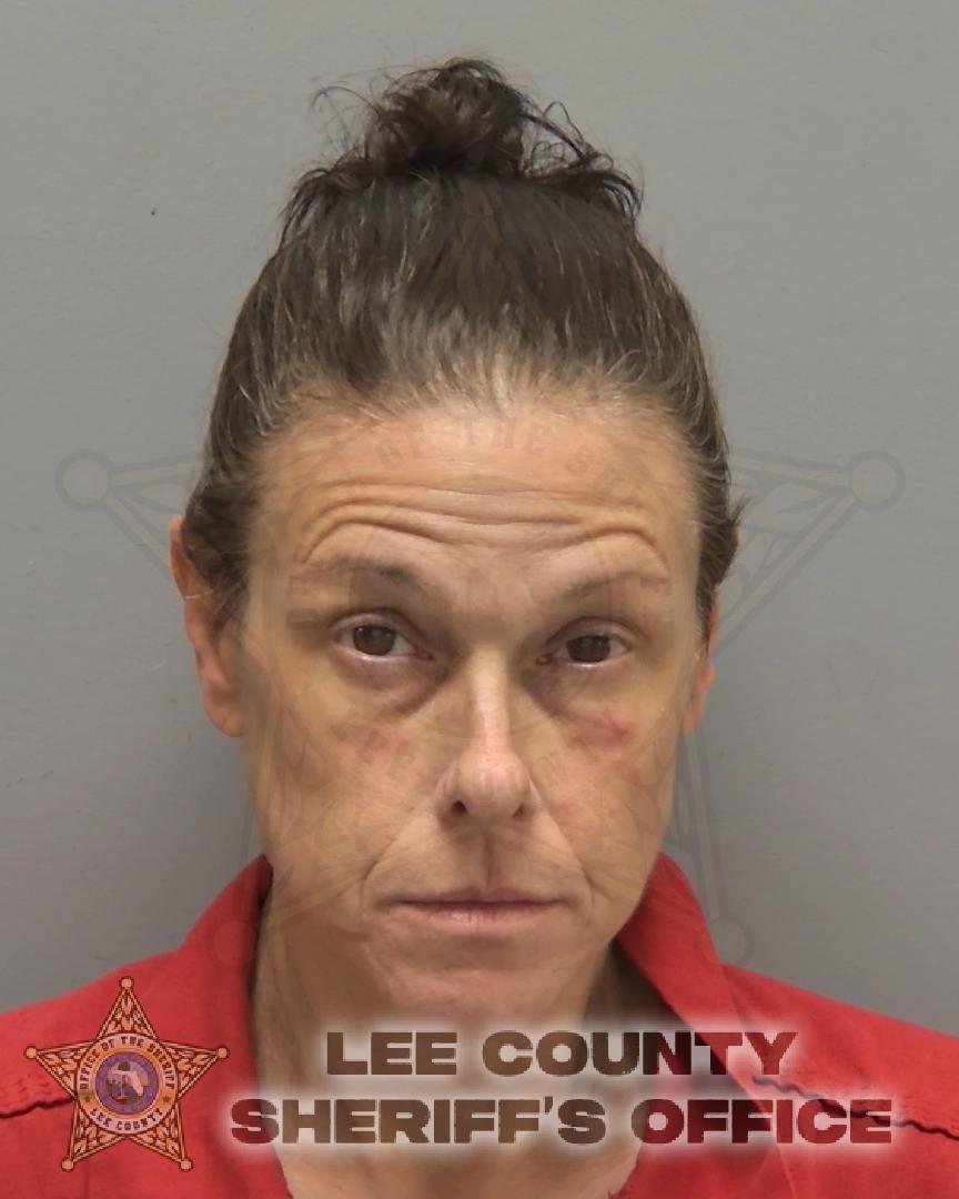 Gina Schiano booking photo