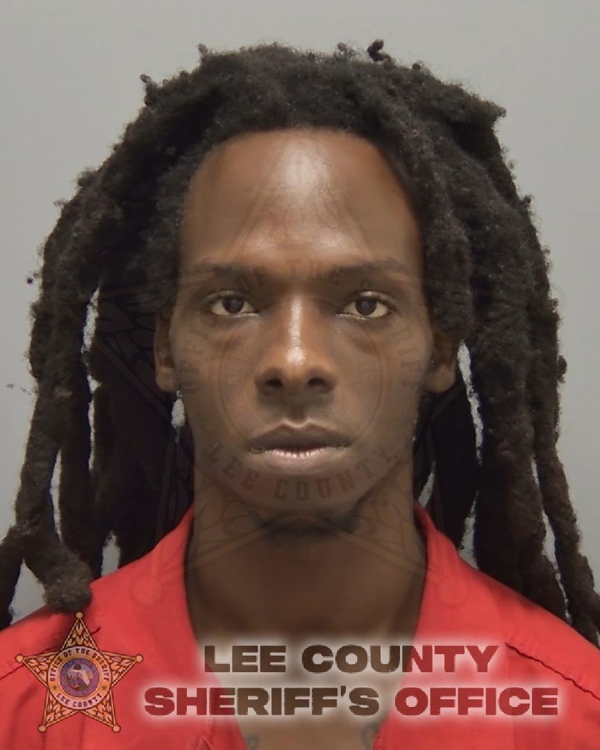 Hulslander Petit-homme booking photo
