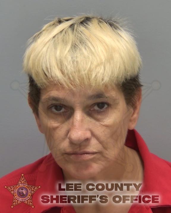 Michelle Schrowe booking photo