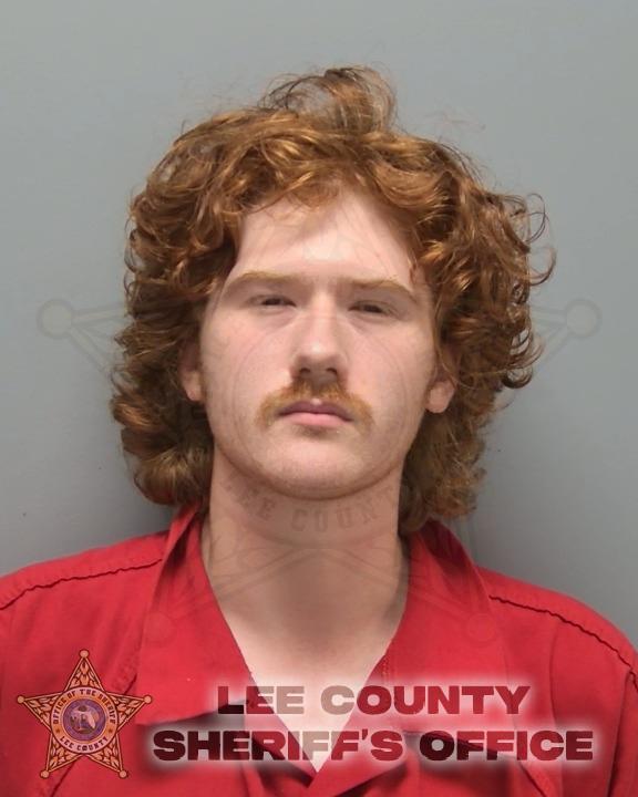 Booking photo of Reilly Wallace