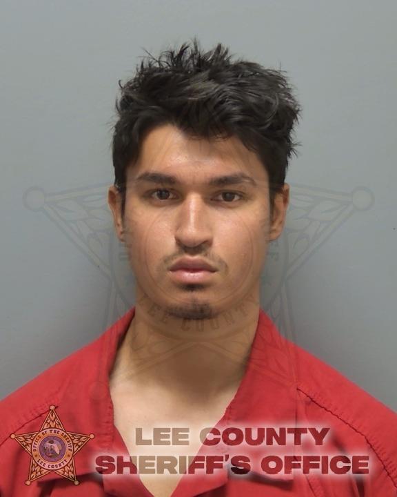 Booking photo of Alan Palomino