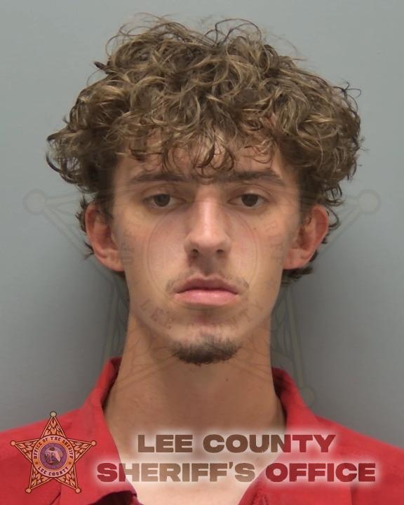 Booking photo of Darian Norling