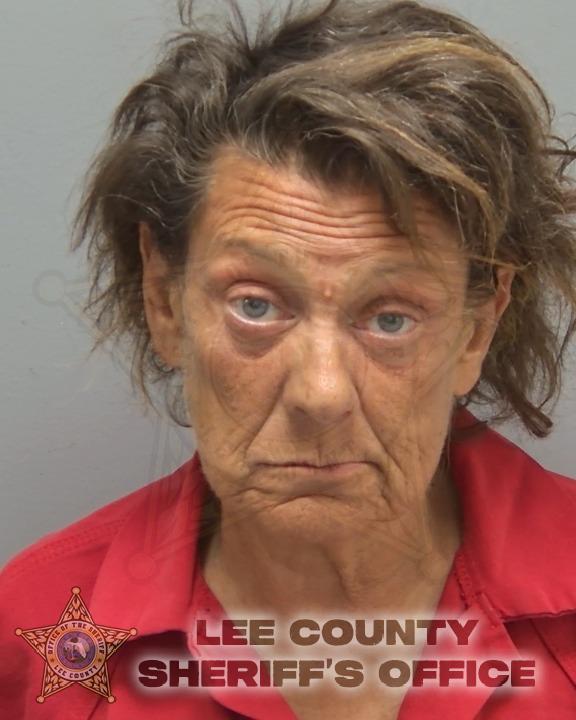 Booking photo of Corinne Wilkinson Druso
