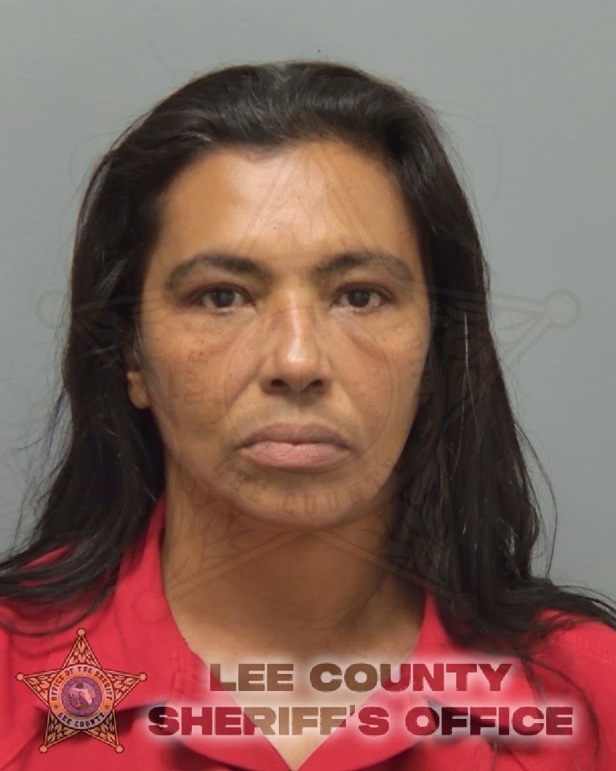 Booking photo of Adalgisa Brada