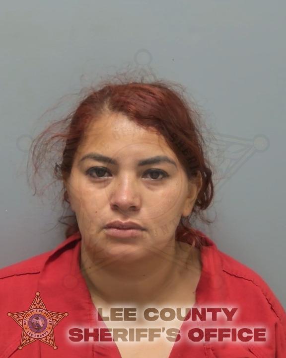 Booking photo of Norma Posas-mejia