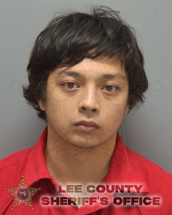Booking photo of Evan Liang