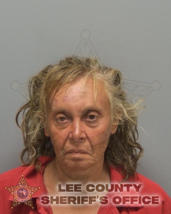 Booking photo of Michelle Vidu