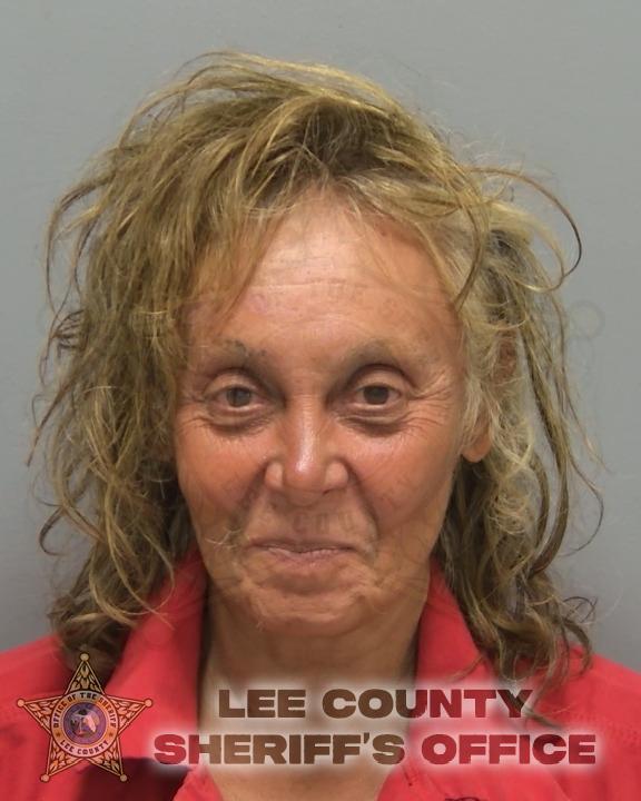 Booking photo of Michelle Vidu
