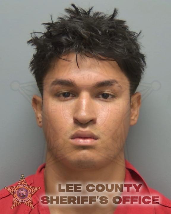 Booking photo of Alan Palomino