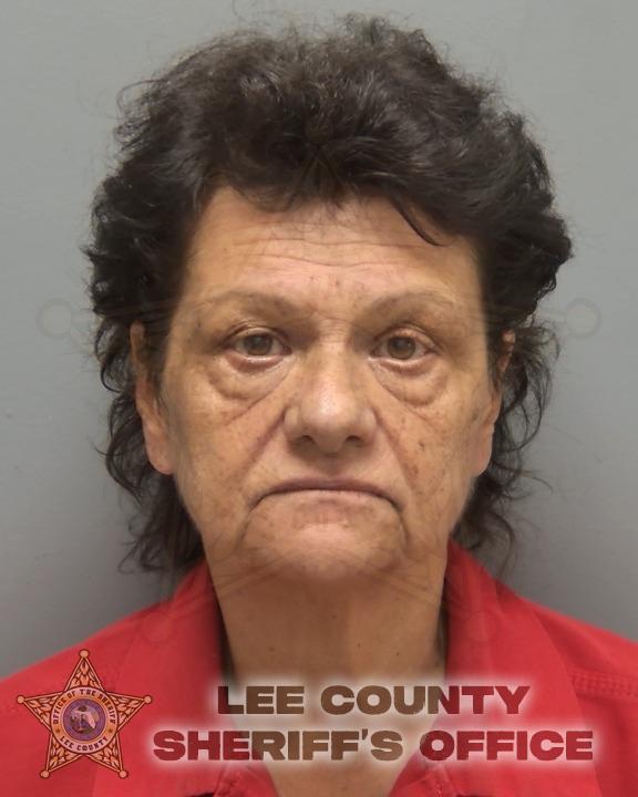 Booking photo of Joann Gandiosi
