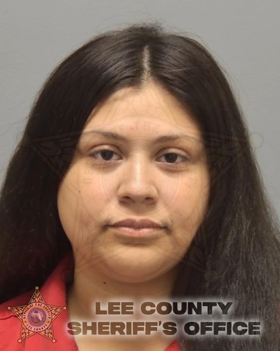 Vivian Nieves booking photo