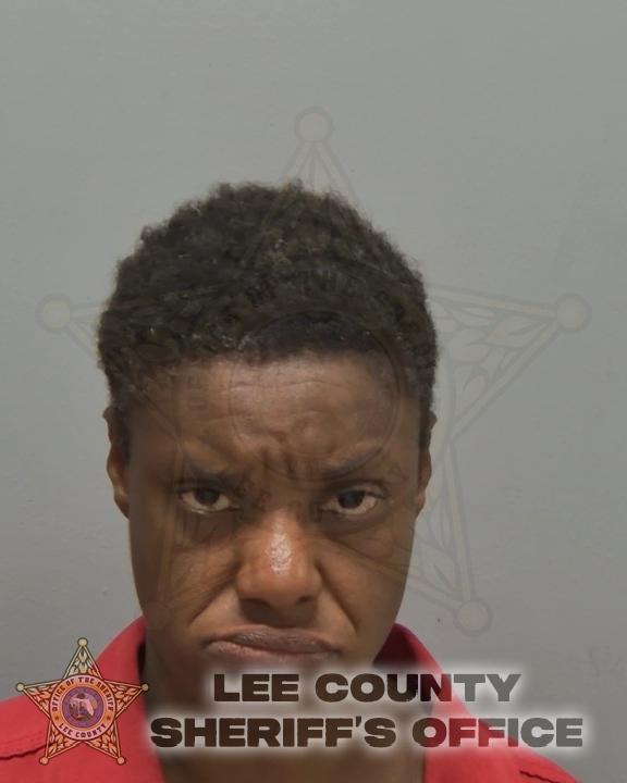 Booking photo of Ashley Mason