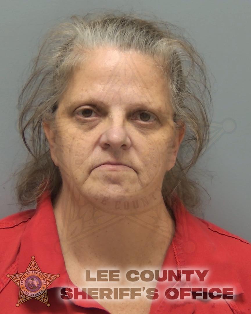 Booking photo of Christine Sweet