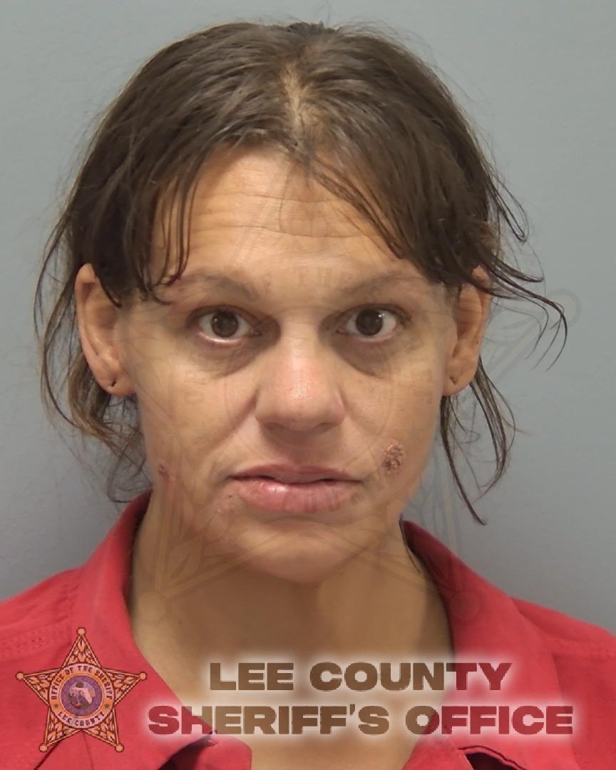 Booking photo of Danielle Dickey