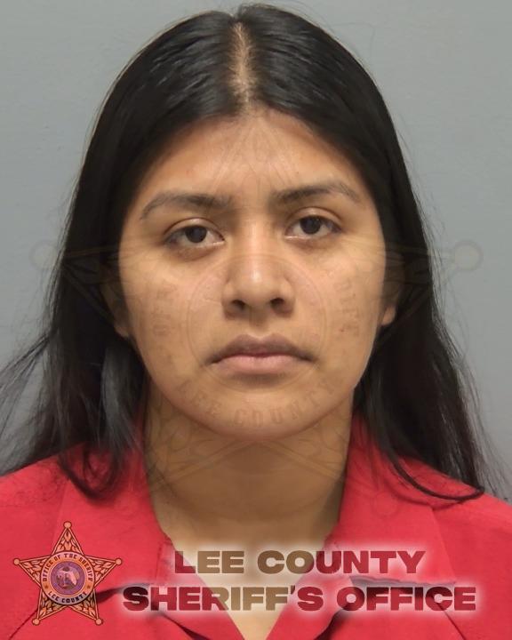 Booking photo of Teresa Pablo Francisco