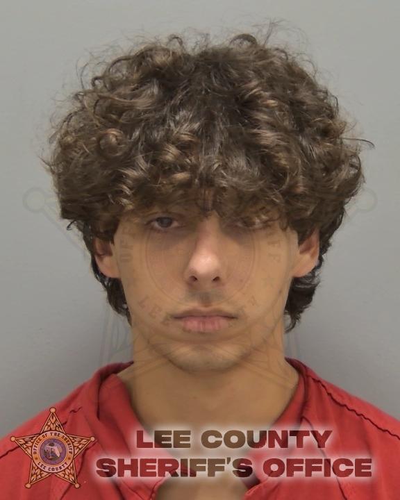 Booking photo of Noah Schiller