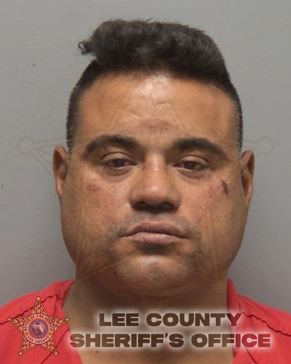 Booking photo of Veitia Donabel