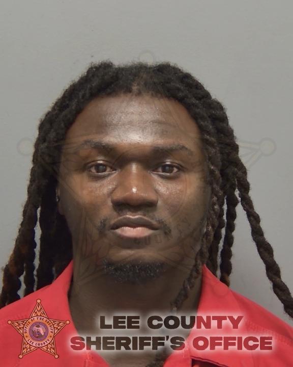 Booking photo of Allyn Louis