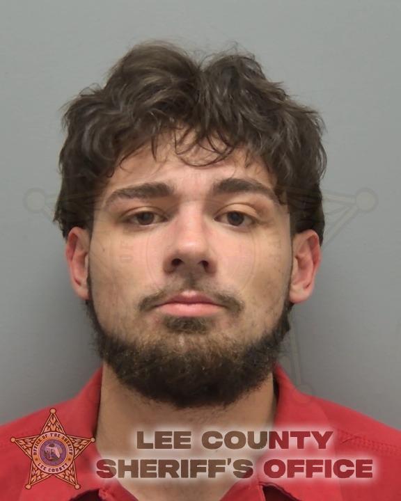 Booking photo of Dalton Williams
