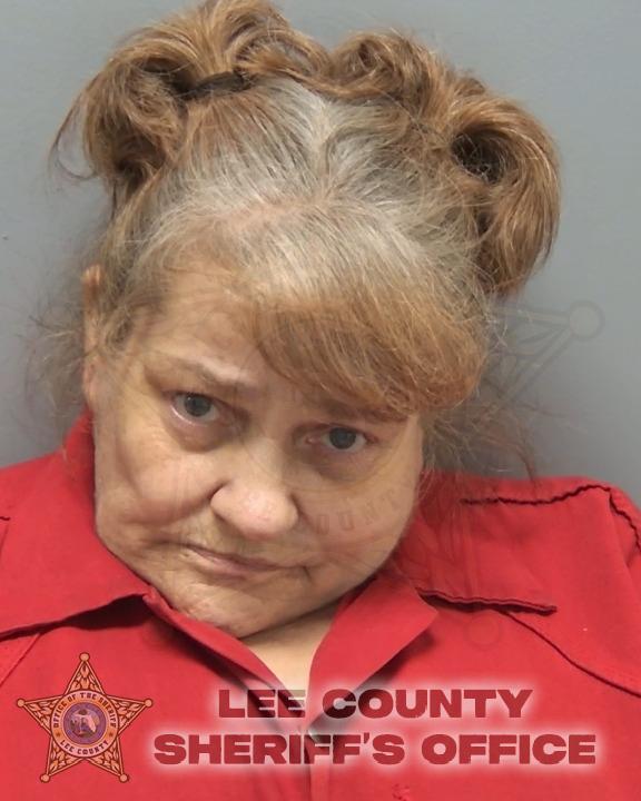 Booking photo of Tina Lehman