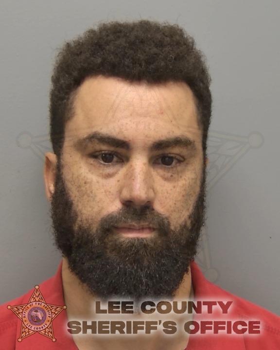 Booking photo of Renan Castilhos