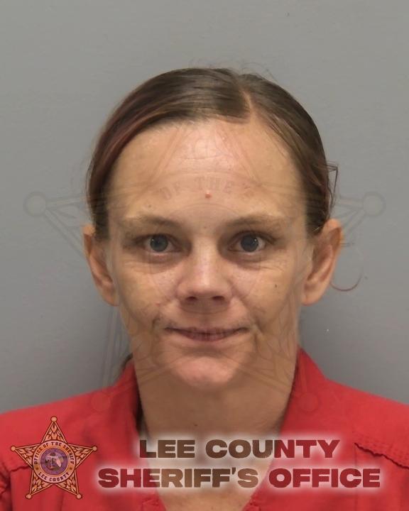 Booking photo of Diane Schocke