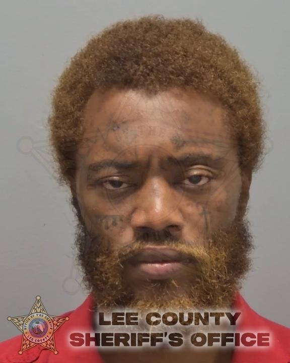 Demetrious Johnson booking photo