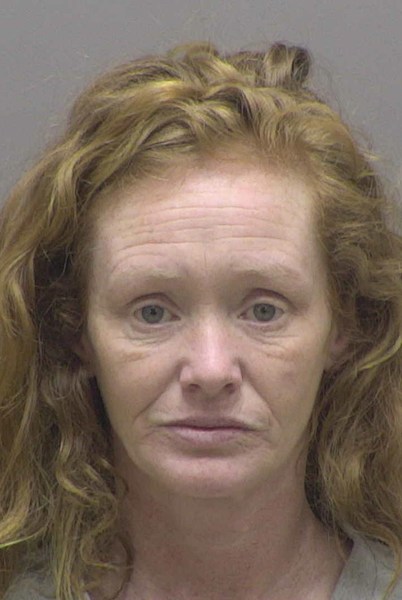 Booking photo of Cynthia Stamey