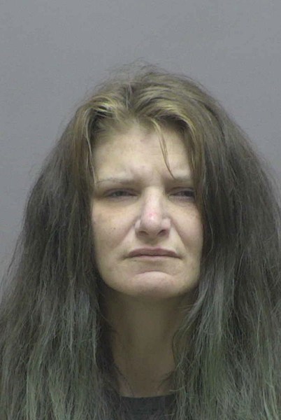 Booking photo of Robyn Rohrl