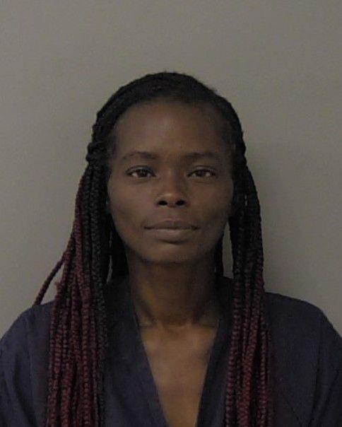 Booking photo of Gloria Johnson