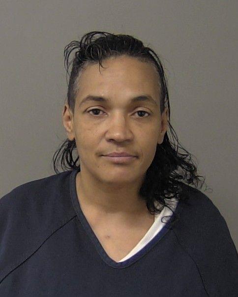 Anna Derixson booking photo