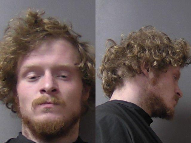 Booking photo of Briar Lifford
