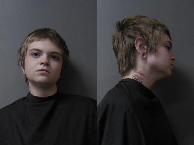 Faith Upshaw booking photo