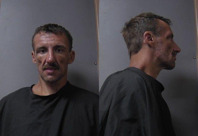 Booking photo of David Schulte