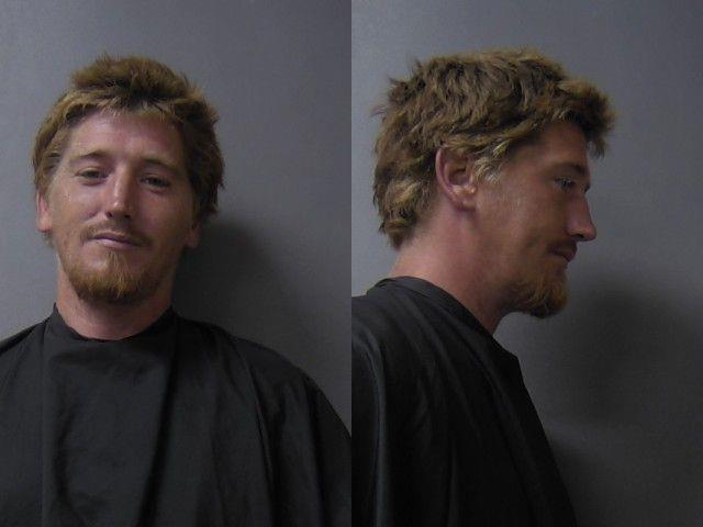 Booking photo of Austin Henson