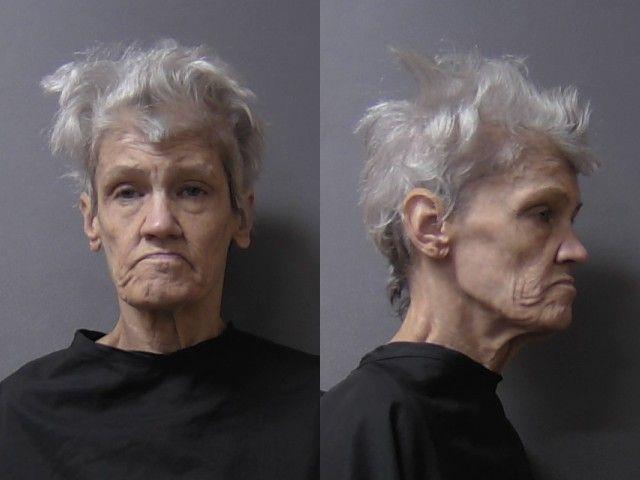 Booking photo of Lisa Surber