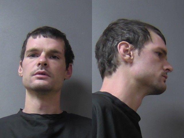 Booking photo of Dominic Jamison