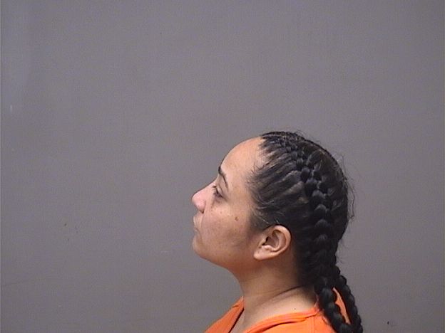 Booking photo of Karina Diaz Lobo