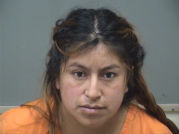 Booking photo of Silvia Garcia Guinea