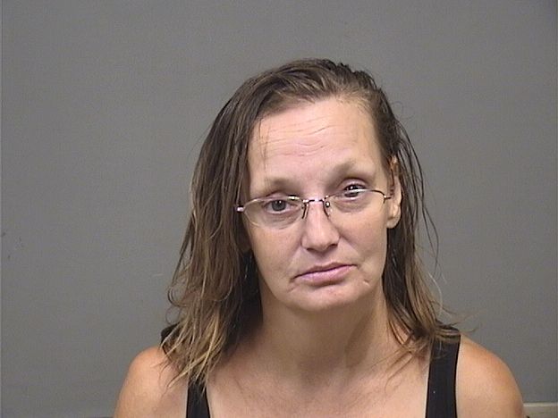 Booking photo of Melanie Paulin
