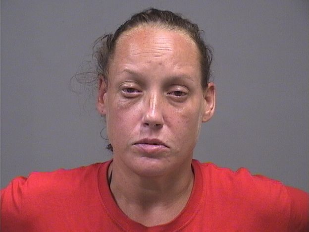 Booking photo of Tammy Vanfossan