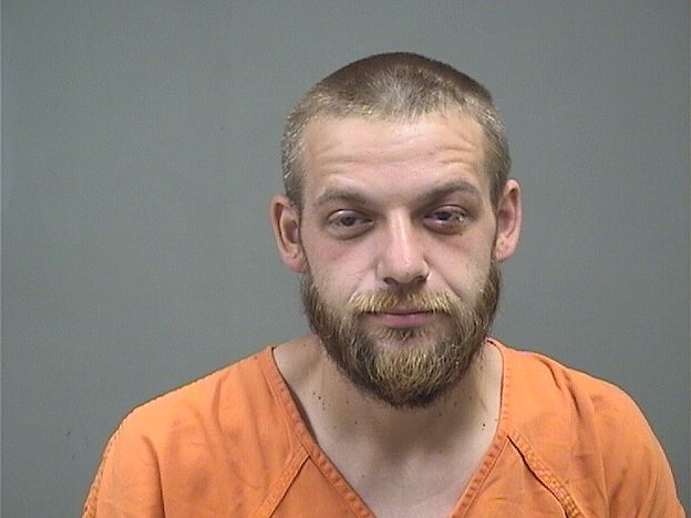 Booking photo of Michael Holby