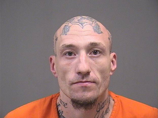 Booking photo of Dustin Martin